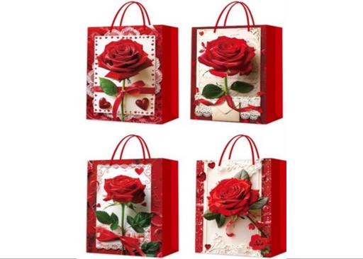 [CA-0019-S] BOLSA MADRE R 12PZ 24X18X8.5CM